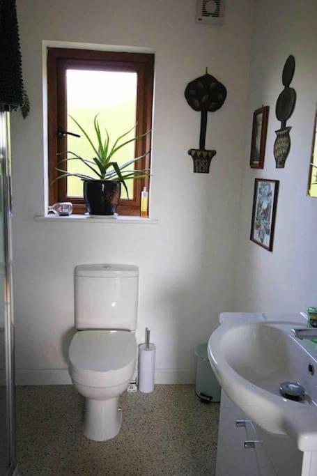Spacious Cabin On Isolated Farm With Sea View バッド エクステリア 写真